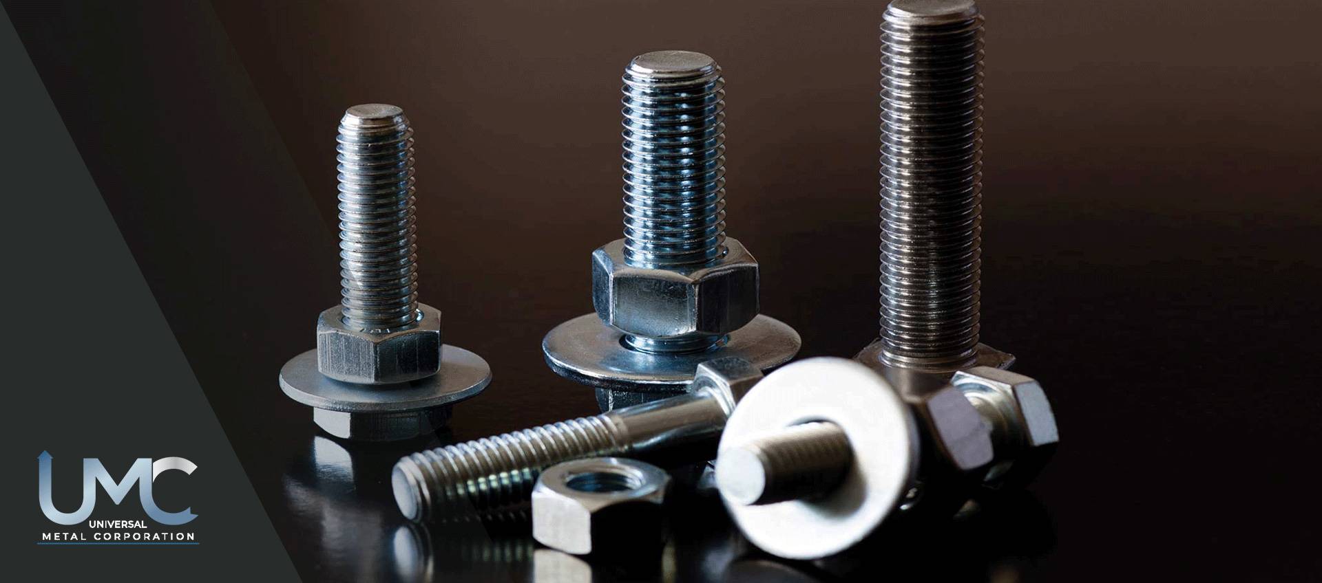 Stainless Steel 310/310S Fasteners