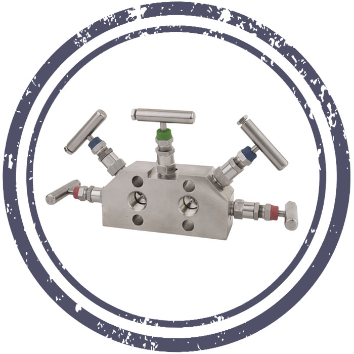Stainless Steel Differential Pressure Manifold